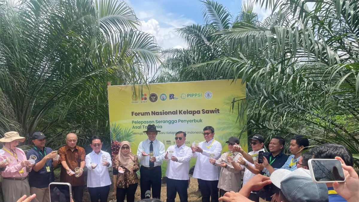 Pelepasan serangga penyerbuk di Simalungun menjadi langkah strategis meningkatkan produktivitas dan keberlanjutan sawit Indonesia. (Istimewa)