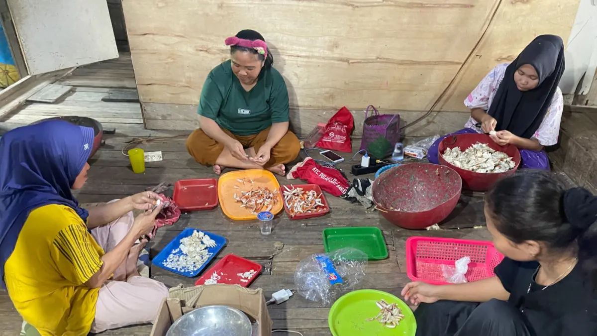 Dok: Warga pesisir Teluk Aru bekerja sama mengupas kepiting hasil tangkapan. Penelitian Universitas Pertamina menyoroti pentingnya diversifikasi pengolahan hasil laut sebagai jaring pengaman ekonomi saat musim paceklik melanda.