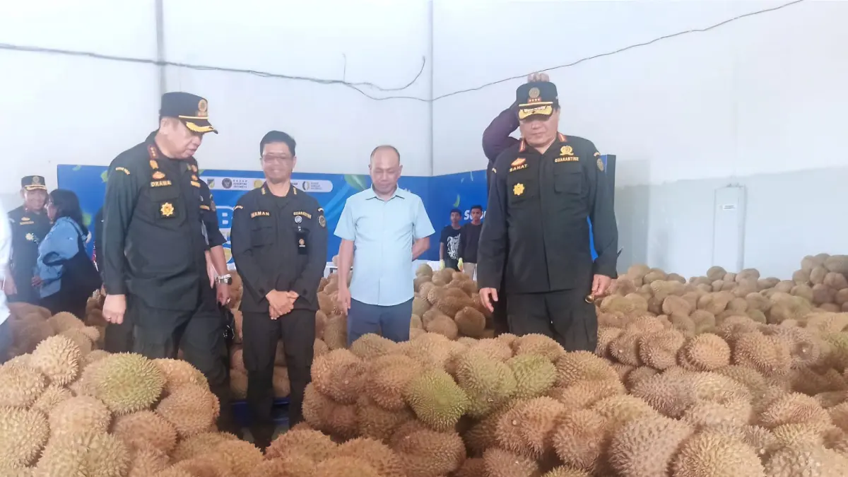 Kepala Badan Karantina Indonesia bersama tim meninjau langsung persiapan ekspor durian di fasilitas packing house (Peking house) di Kelurahan Baiya, Kota Palu, Rabu (15/4/2026), jelang pengiriman belasan kontainer ke China.