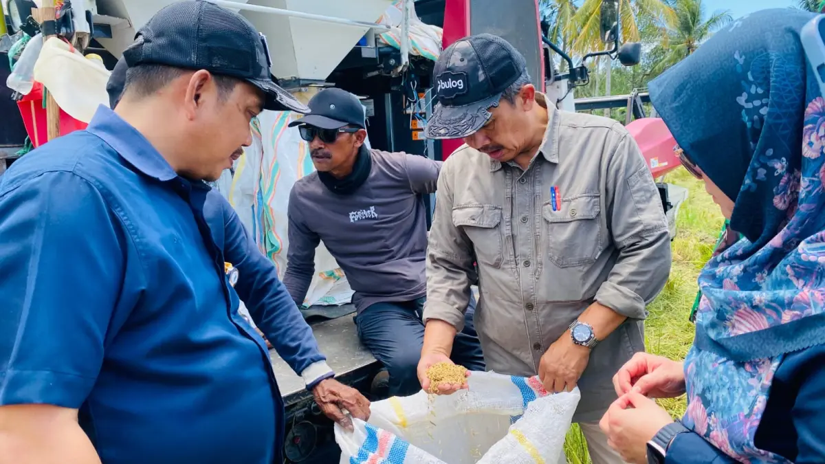 Peninjauan langsung penyerapan gabah di Sulawesi Tengah tepatnya di penggilingan Makloon di Desa Sienjo, Kabupaten Parigi Moutong, Selasa (14/4/2026).(DOK Bulog Sulteng)