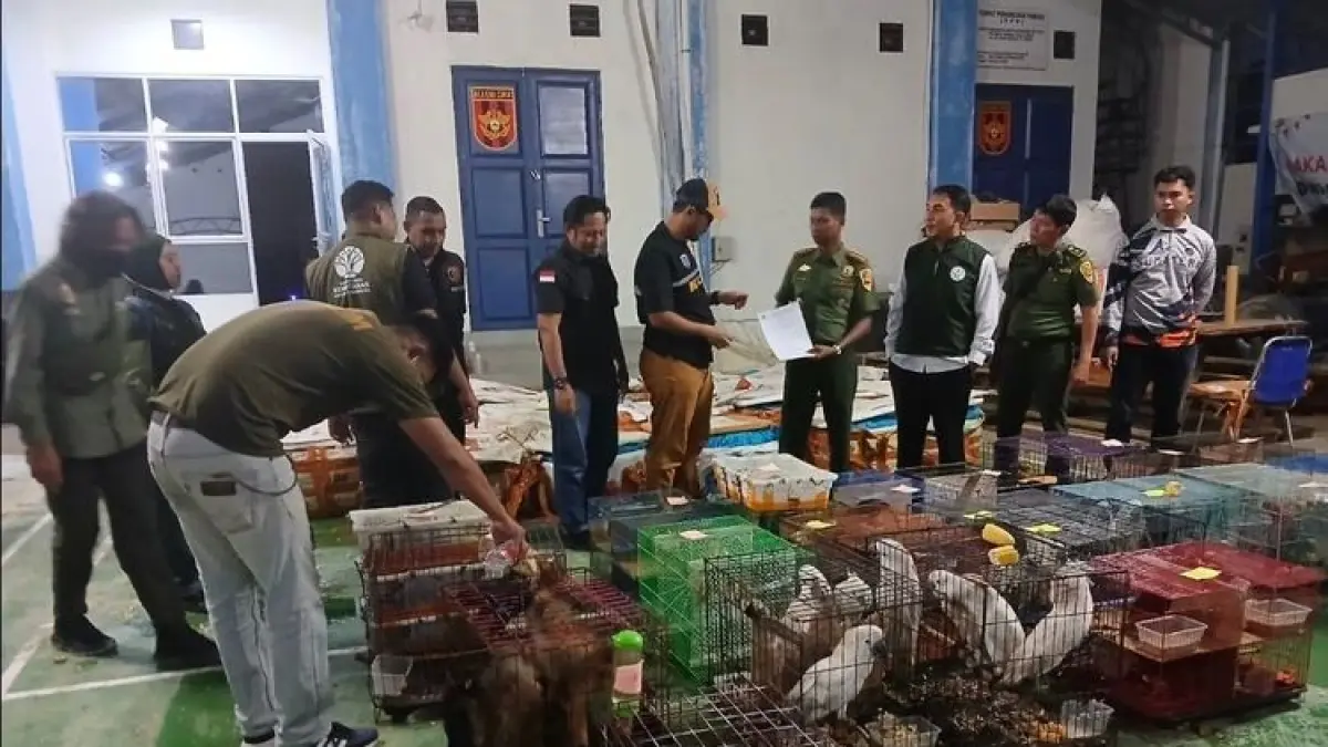 DILIMPAHKAN: Proses pelimpahan berkas perkara, barang bukti dan tersangka dari Balai Penegakan Hukum (Gakkum) Kehutanan Wilayah Sumatera kepada pihak kejaksaan. FOTO: KEMENHUT.