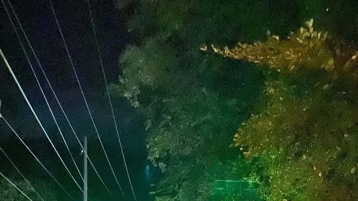 GANGGUAN: Sebuah kendaraan terhenti di badan jalan kawasan Batu Ceper, Santigi, Jumat (17/4/2026).(FOTO: RAHMAT FADHIL/RADAR PALU).