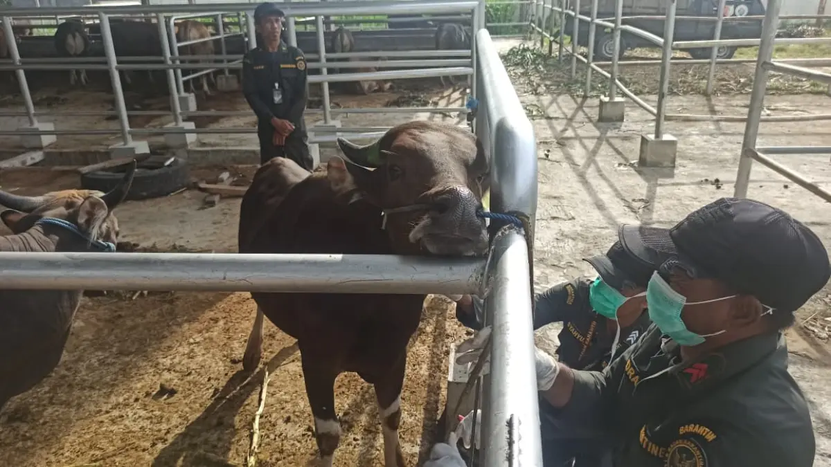 DITUTUP KAYU: Jejeran Pelaku UMKM yang berusaha di dekat drainase yang tidak ada plat penutupnya, usai drainase dikerjakan oleh kontraktor setahun yang lalu. FOTO: WAHONO