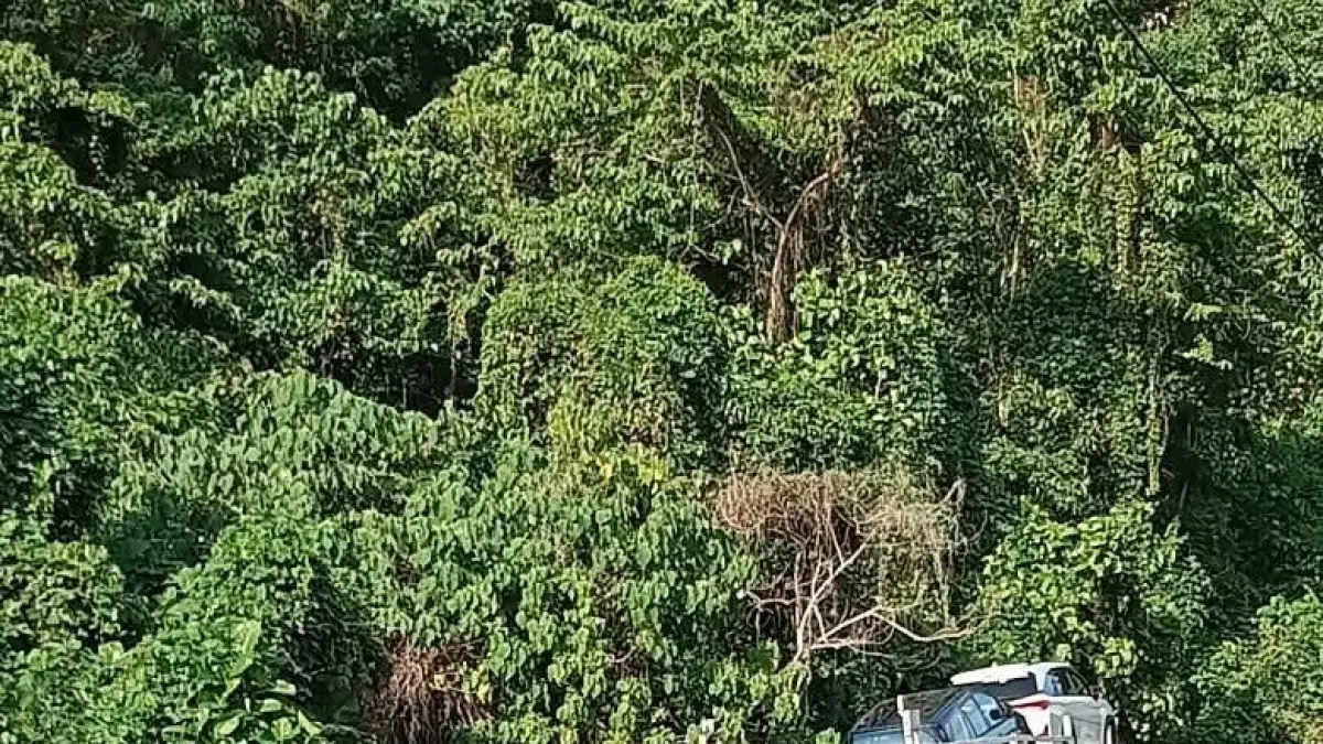 TIKUNGAN: Jalanan menurun dan berkelok di kawasan Gunung Santigi tampak lengang saat proses awal penanganan kecelakaan. Minimnya aktivitas kendaraan serta kondisi sekitar yang sepi membuat evakuasi diduga berlangsung lambat, Senin (20/4/2026).(FOTO: ISTIMEWA/RADAR PALU). 