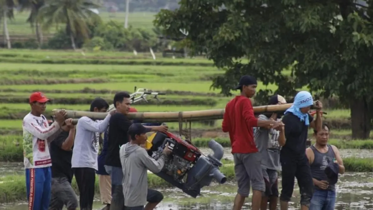 Petani memanfaatkan pompa air untuk mengairi sawah saat kemarau, menjadi solusi menjaga produksi di tengah ancaman kekeringan 2026. (IstimewaRadar Palu)