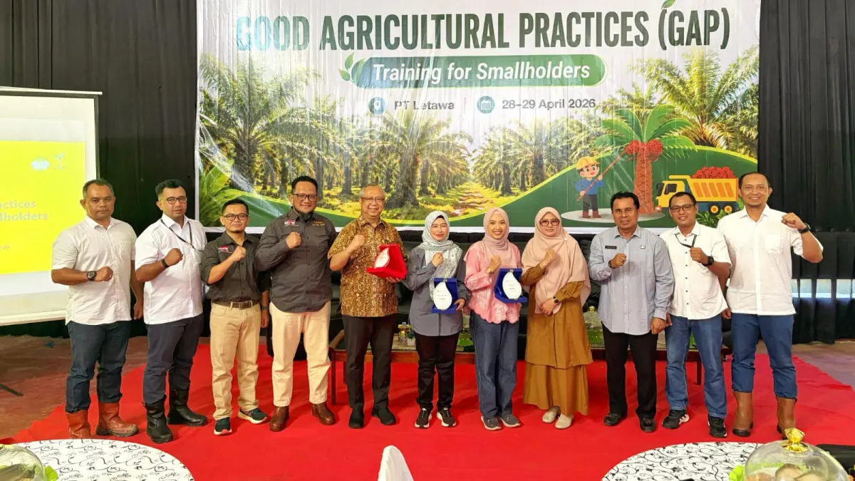 Pelatihan Good Agricultural Practices (GAP) bagi petani sawit mandiri di Kabupaten Pasangkayu, Sulawesi Barat, pada 28–29 April 2026.(Dok)
