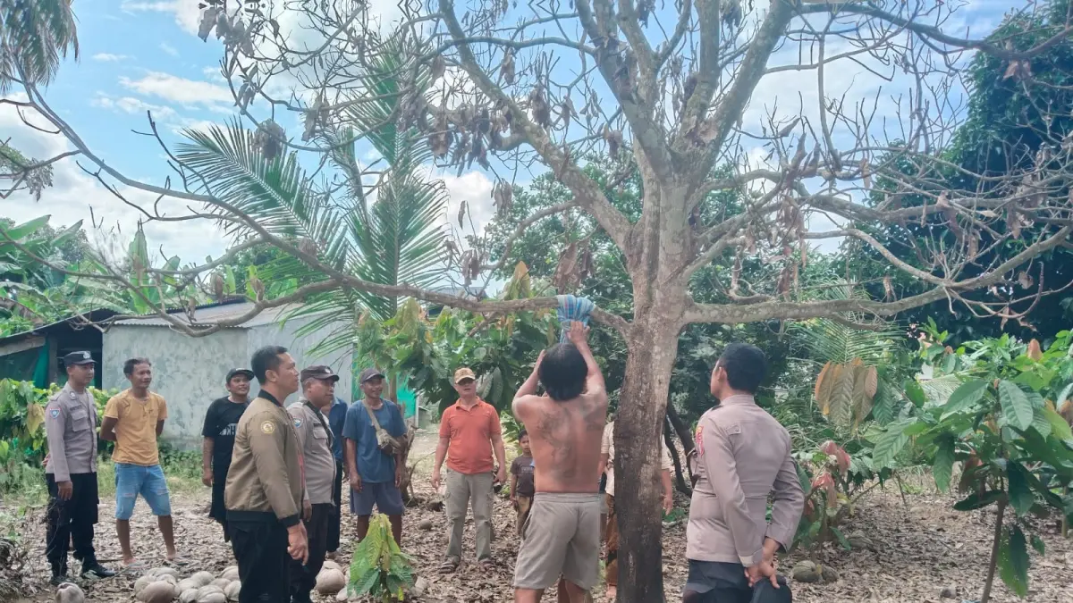 OLAH TKP: Aparat kepolisian bersama warga berada di lokasi penemuan pria lansia yang ditemukan meninggal dunia diduga gantung diri di Dusun III Desa Suli Indah, Kecamatan Balinggi, Sabtu (2/5/2026).