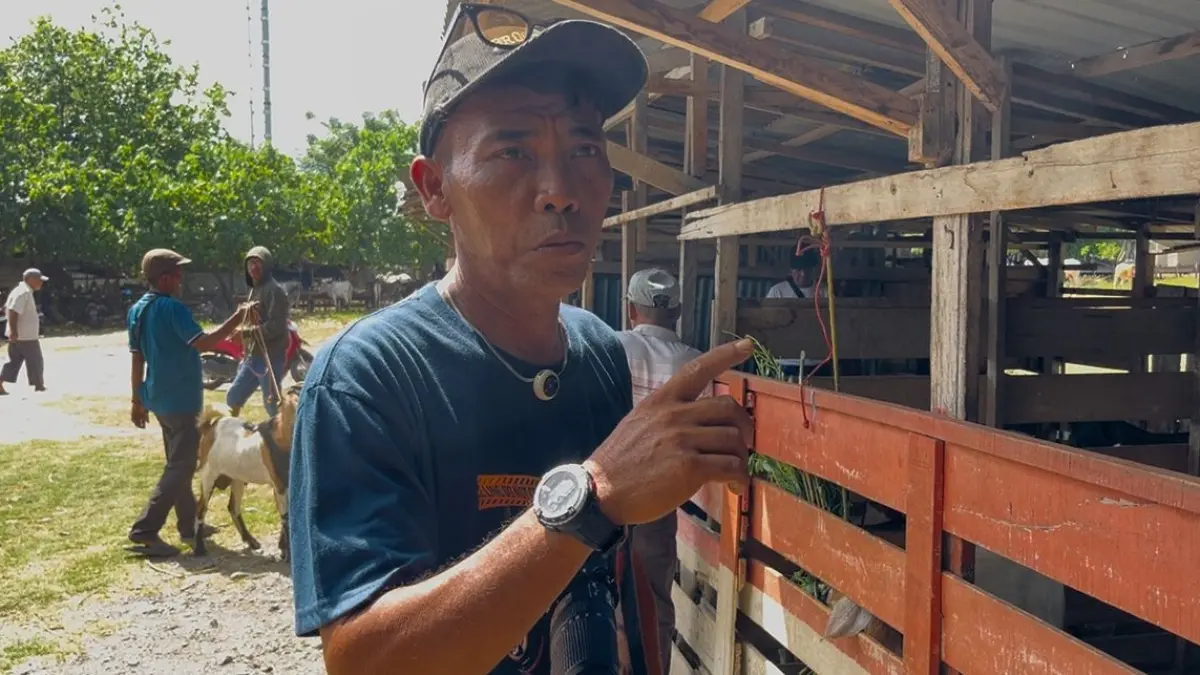 Lukfan selaku koordinator ternak kambing pasar hewan di Jalan Pipa Air, Palu Barat.(Rina Abd Halik)