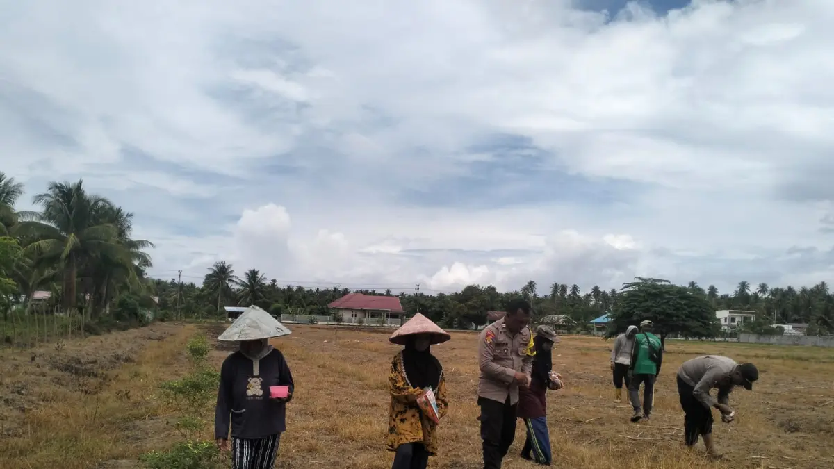 PANGAN: Kapolsubsektor Mepanga IPDA Yayang Luki Ekaryandaru bersama personel Polsubsektor Mepanga dan warga binaan melakukan penanaman jagung di lahan milik Polri seluas dua hektare di Desa Mepanga, Kecamatan Mepanga, Selasa (5/5/2026).(FOTO: RAHMAT FADHIL/RADAR PALU).