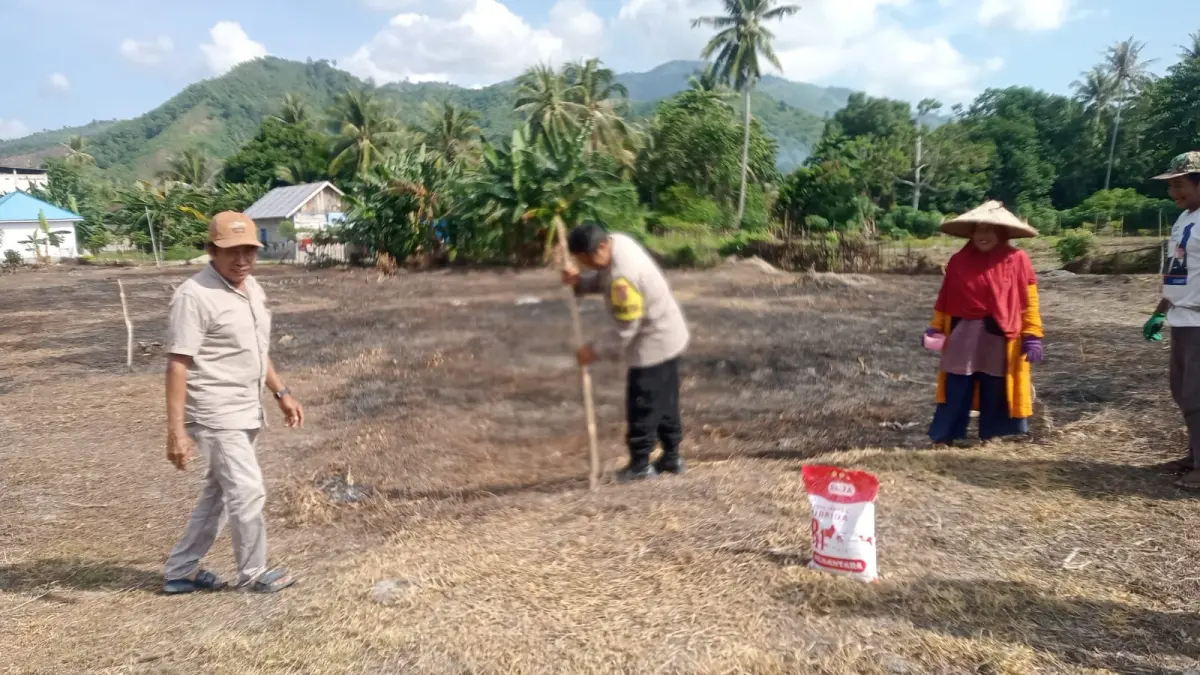 KERJA BAKTI MASSAL: Bupati Parigi Moutong H. Erwin Burase memimpin langsung kerja bakti serentak bersama jajaran pegawai di kawasan Alun-Alun Kantor Bupati dan Taman Toraranga, Jumat (8/5/2026).(FOTO: RAHMAT FADHIL/RADAR PALU).


