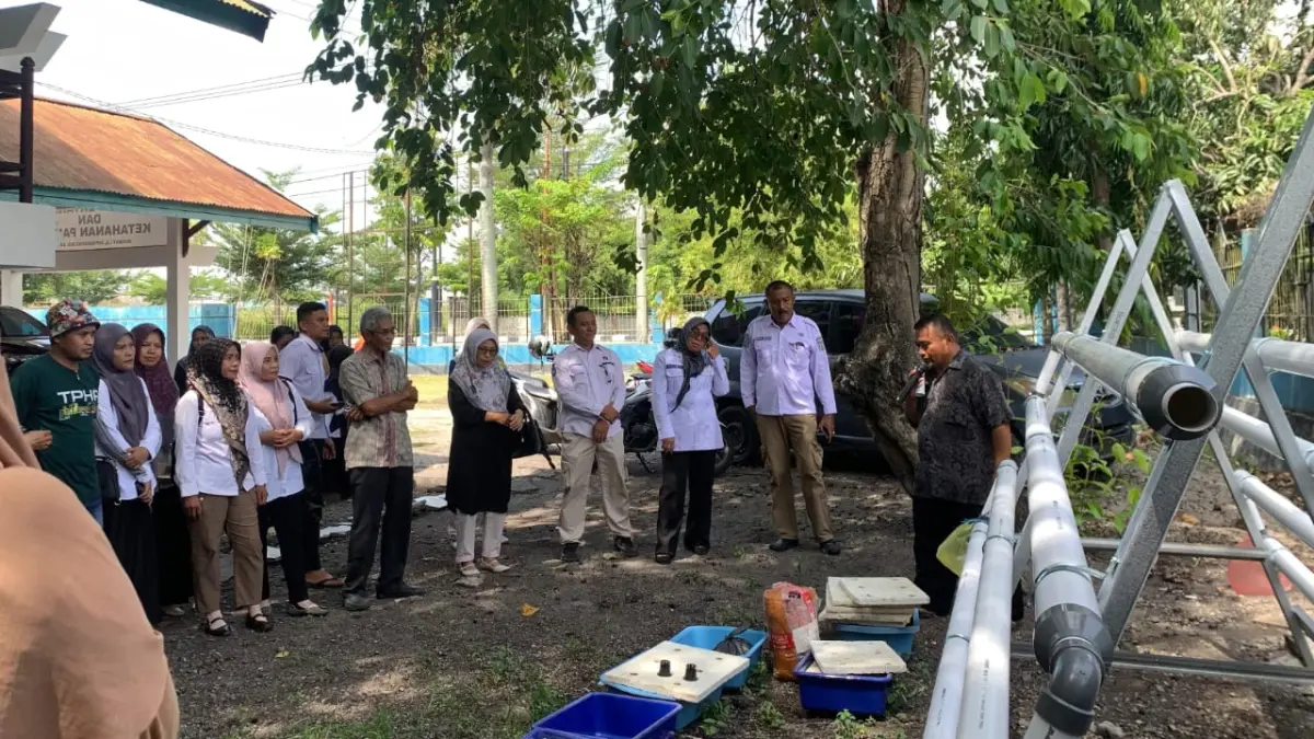 Pelatihan hidroponik bagi kelompok masyarakat penerima bantuan hidroponik, petugas pendamping hidroponik, serta petugas teknis di dinas setempat.