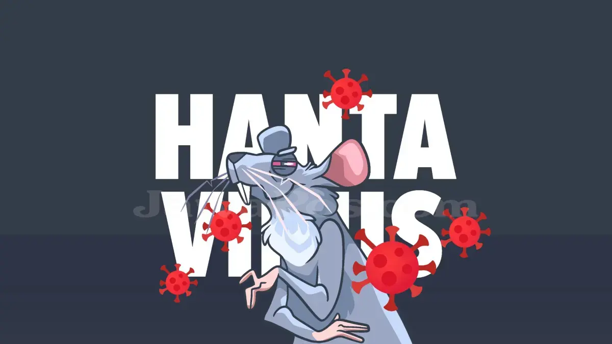ILUSTRASI: Hantavirus. (Dimas Pradipta/JawaPos.com)