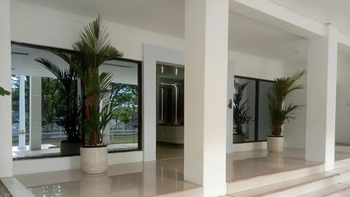 CANTIK: Pohon Palem Merah sebanyak dua buah berdiri di depan pintu masuk Kantor Gubernur Sulteng. Kehadiran dua pohon ini mempercantik suasana.(Foto: dokumentasi pribadi) 