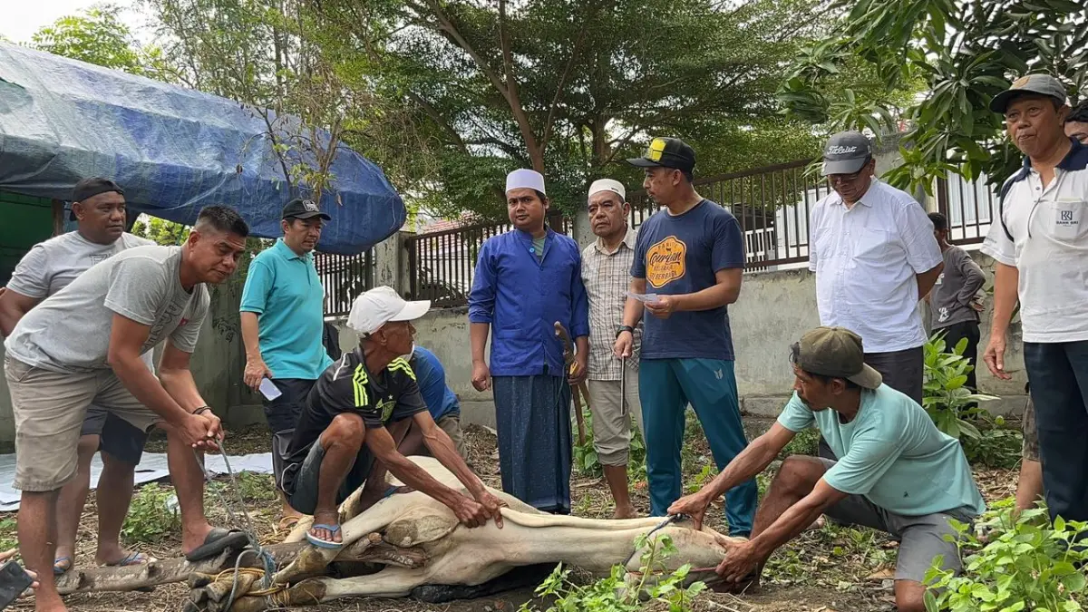 Kebersamaan dalam semangat Idul Adha 1447 H. BRI Branch Office Palu bersama YBM BRILiaN dan Bapekis BRI menyalurkan kurban untuk masyarakat sebagai wujud kepedulian dan berbagi manfaat untuk semua. 