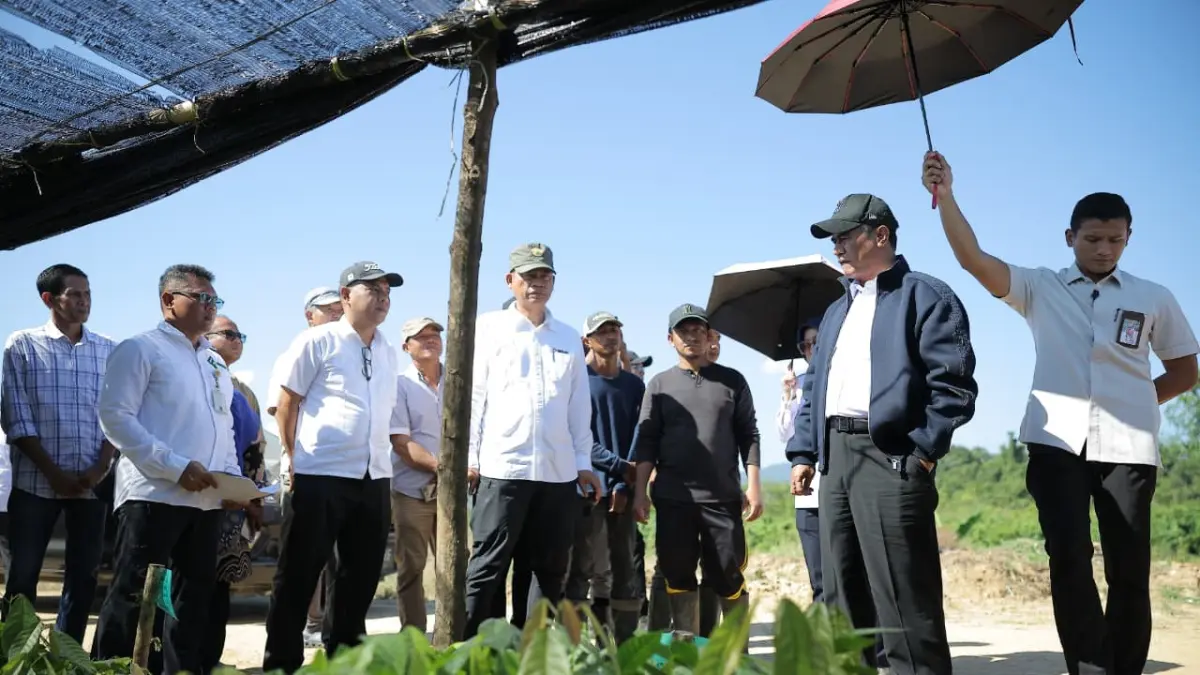 Menteri Pertanian Andi Amran Sulaiman meninjau pembibitan kelapa dan kakao di Desa Lamomea, Konawe Selatan, Sulawesi Tenggara, Sabtu (6/6/2026). Pemerintah menyiapkan 38 juta bibit untuk mendukung pengembangan perkebunan dan hilirisasi komoditas strategis.Foto: Humas Kementan&nbsp;