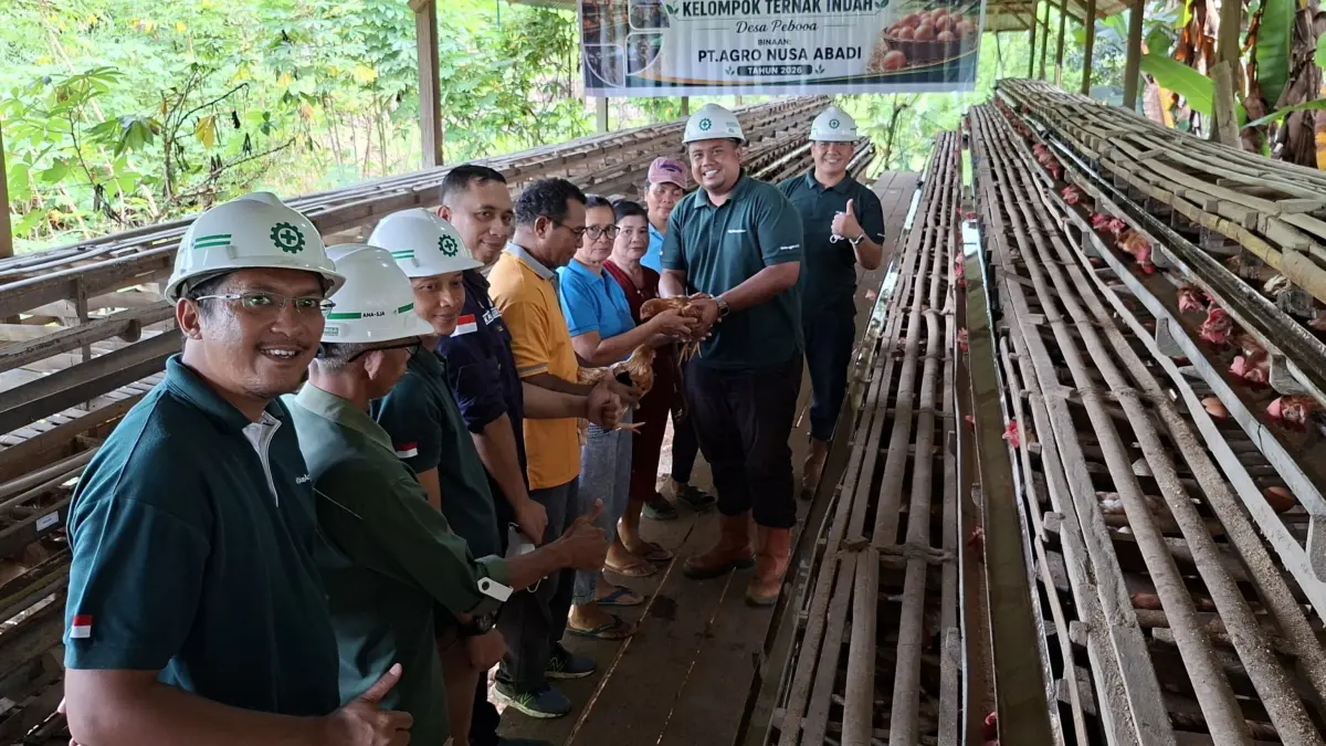  PT Agro Nusa Abadi (PT ANA) menyalurkan ratusan bibit ayam petelur beserta pakan kepada Kelompok Ayam Petelur “Ternak Indah” di Desa Pebooa, Kecamatan Petasia Timur. 