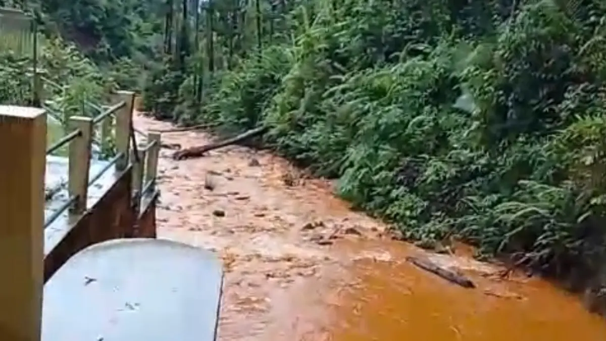Kualitas air bersih dari Sistem Penyediaan Air Minum Ibu Kota Kecamatan (SPAM IKK) Petasia, Kabupaten Morowali Utara, kembali dilaporkan keruh pekat dan tidak layak konsumsi. 