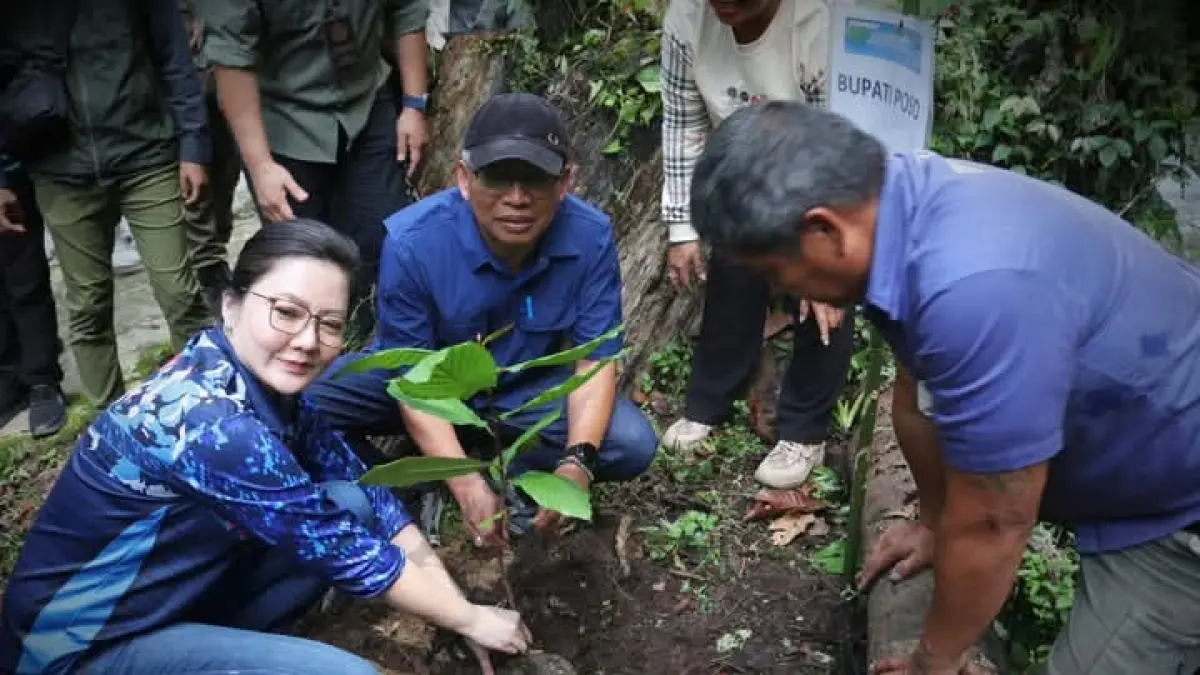 POHON: Bupati Poso Verna Inkiriwang, bersama Wabup Suharto menanam pohon di Saluopa.(FOTO: BUDIYANTO WIHARTO/RADAR PALU).