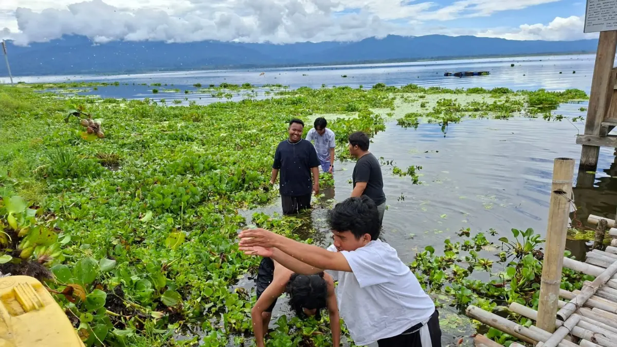 Aksi bersih eceng gondok dan sampah plastik di area sekitar Festival Danau Lindu, Desa Tomado.