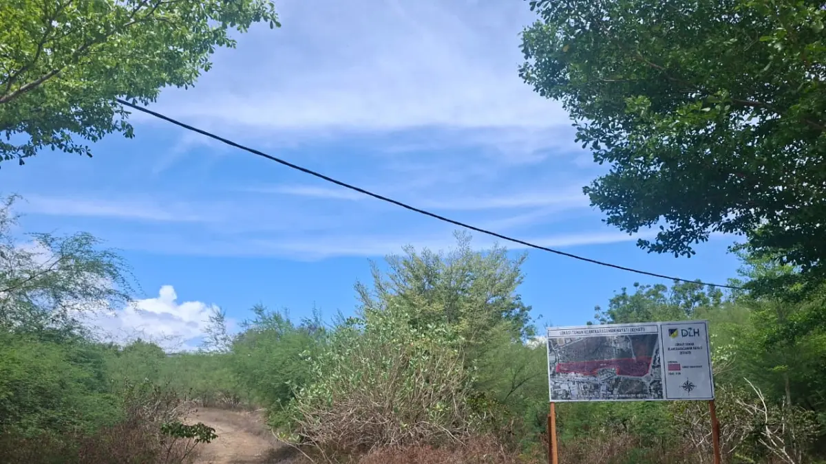 Lahan di kawasan Hutan Kota Palu yang dipersiapkan sebagai lokasi pembangunan Taman Keanekaragaman Hayati (Kehati) seluas delapan hektare. (Annisa Tri Yusnida)
