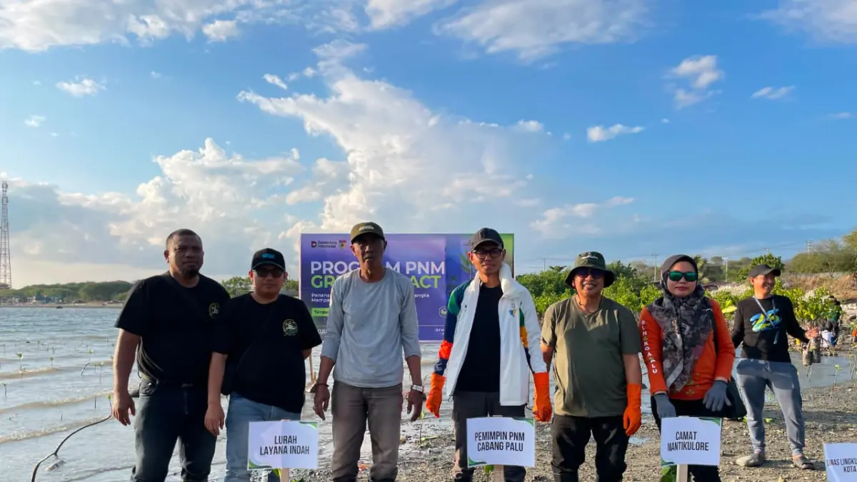 PNM Cabang Palu bersama Manggrovers menanam 1.000 bibit mangrove di Pantai Layana untuk memperkuat ekosistem pesisir Teluk Palu, Minggu (26/07). FOTO:IST