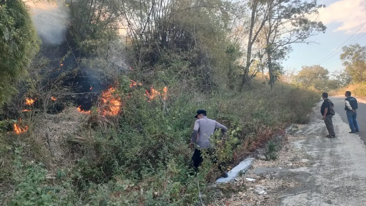 HUTAN: Kebakaran hutan dan lahan kembali terjadi di wilayah Kabupaten Banggai, di areal pegunungan Desa Tikupon, Kecamatan Bualemo, Kamis (30/7/2026).(FOTO: NENDRA PRASETYA/RADAR PALU)

