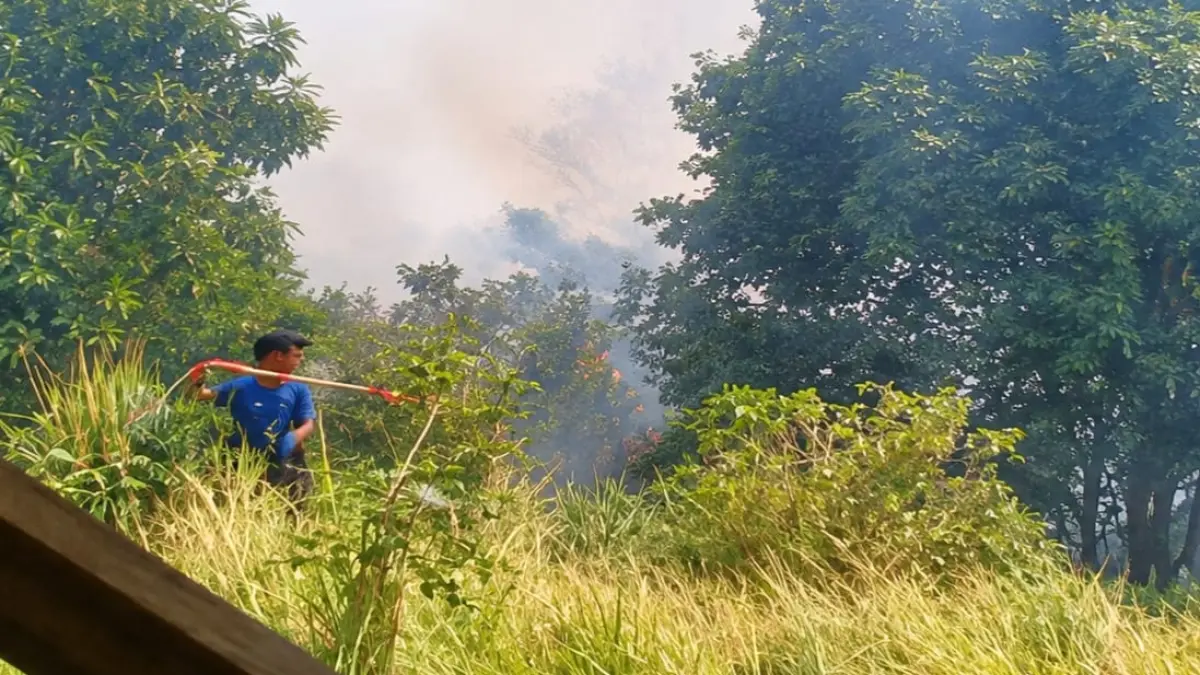 Petugas BPBD melakukan penanganan kebakaran hutan dan lahan (karhutla) di Desa Tojo, Kecamatan Tojo, Kabupaten Tojo Una-Una, Senin (3/8/2026). FOTO: PUSDALOPS BPBD SULTENG&nbsp;