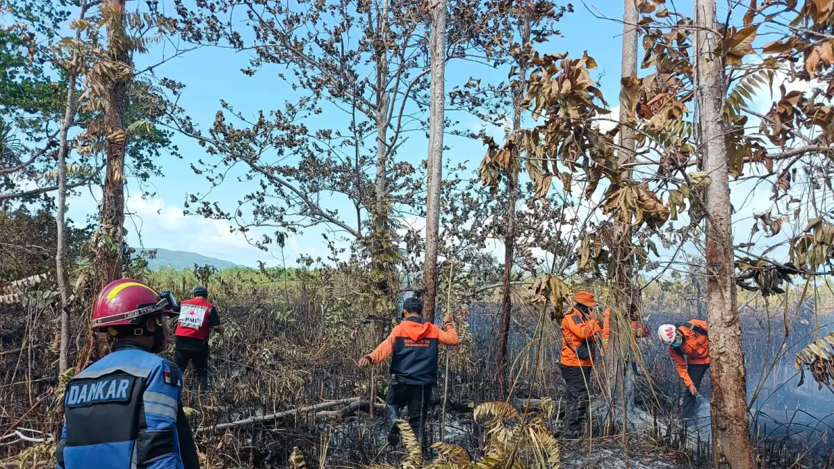 Petugas BPBD dan Damkar melakukan upaya pemadaman kebakaran hutan dan lahan (Karhutla) di salah satu wilayah Sulawesi Tengah. Petugas berjibaku memadamkan api dan melakukan pendinginan untuk mencegah kebakaran kembali meluas. (Dok.BPBD Sulteng)