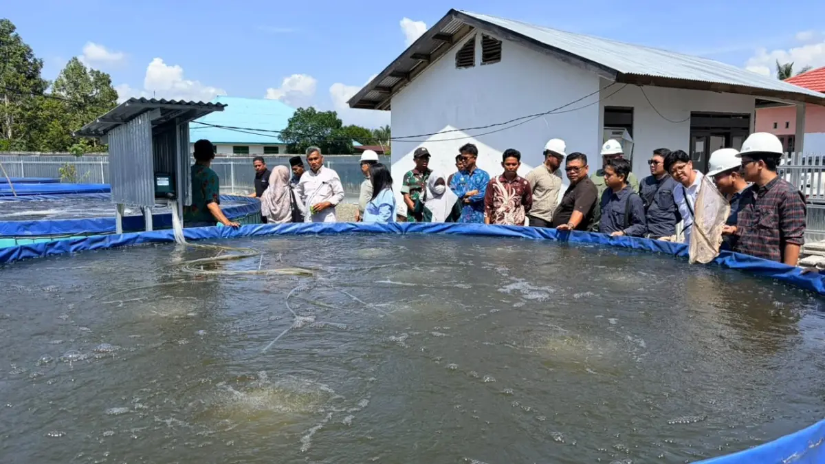 Program budidaya ikan berbasis bioflok binaan Corporate Social Responsibility (CSR) PT Mamuang anak usaha PT Astra Agro Lestari Tbk, mulai menunjukkan hasil. 
