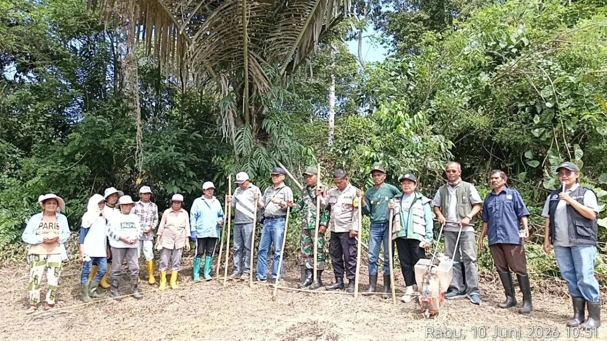 BERKEMBANG: Melalui kolaborasi antara perguruan tinggi, pemerintah, dan masyarakat, Desa Saojo diharapkan dapat berkembang menjadi sentra benih kedelai bersertifikat di Kabupaten Poso.(FOTO: ISTIMEWA/RADAR PALU).