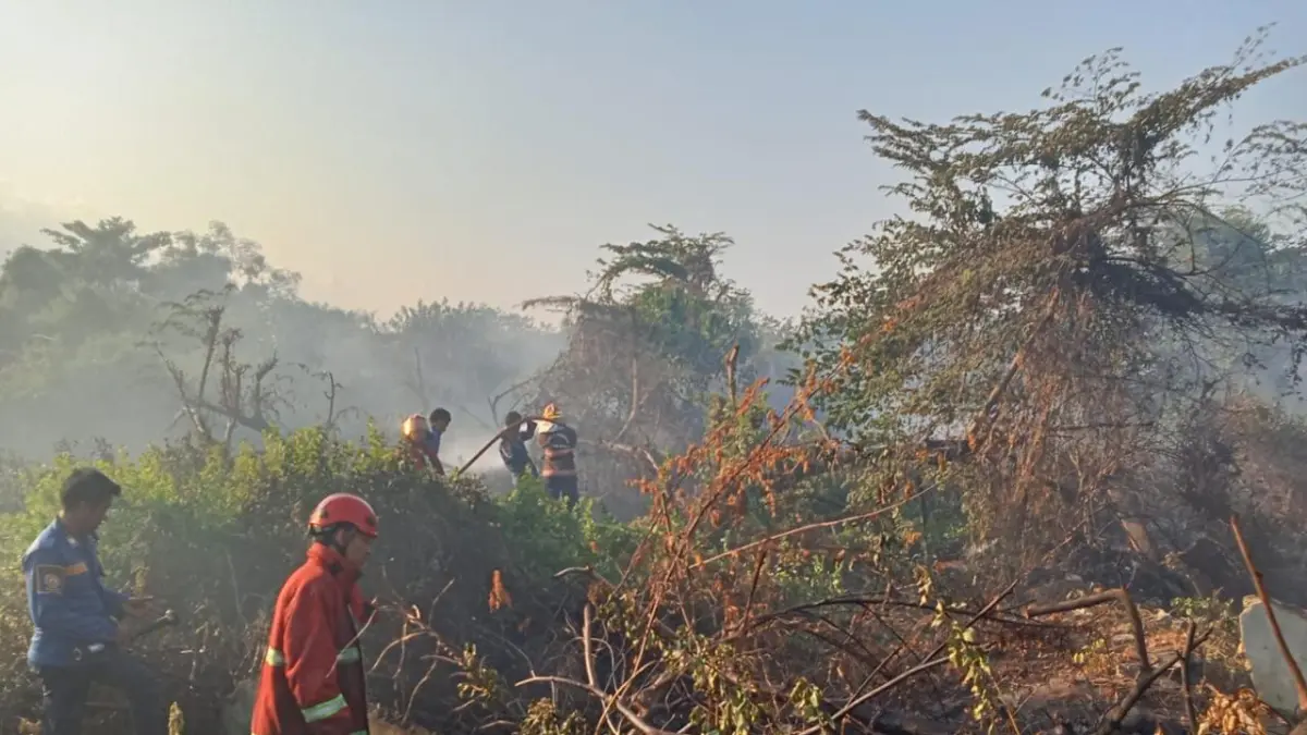 Petugas Damkar Kota Palu bersama TNI melakukan pemadaman kebakaran di lahan eks likuefaksi Balaroa, Minggu (30/8) sore.