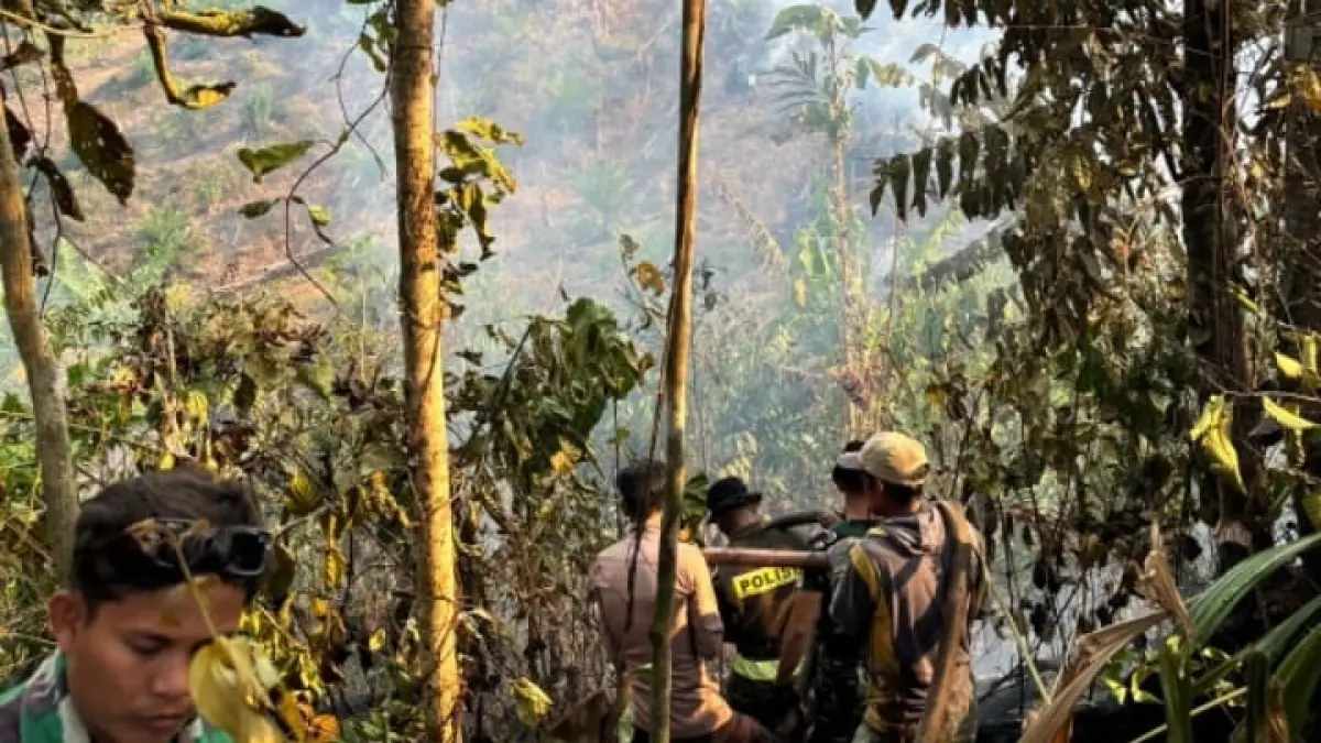 PEMADAMAN: Upaya pemadaman di saat terjadinya kebakaran hutan dan lahan di wilayah Desa Binuang, Kecamatan Bukal, Kabupaten Buol, Jumat 4/9/2026.(FOTO: ISTIMEWA/RADAR PALU). 
