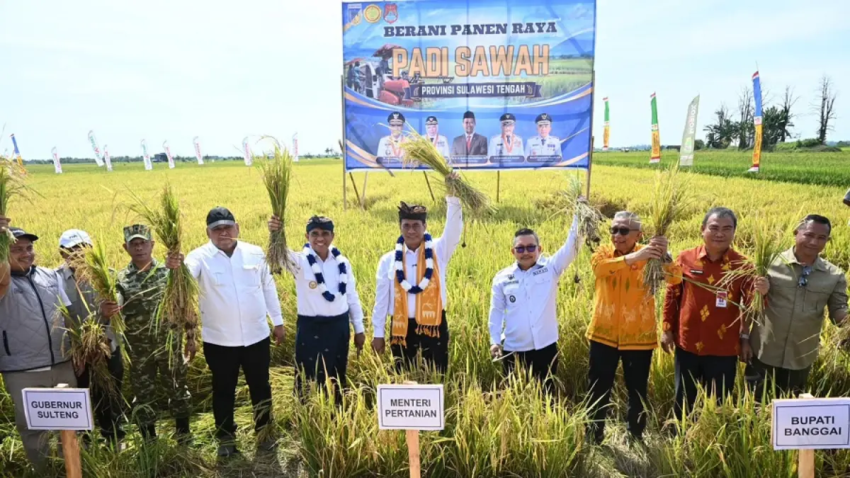 Gubernur Sulteng Anwar Hafid bersama Menteri Pertanian Amran Sulaiman dan Bupati Banggai Amirudin Tamoreka menghadiri Panen Raya Padi dan Tanam Padi dengan metode PM-AAS di kawasan persawahan dataran Toili, Kamis (10/9/2026). 