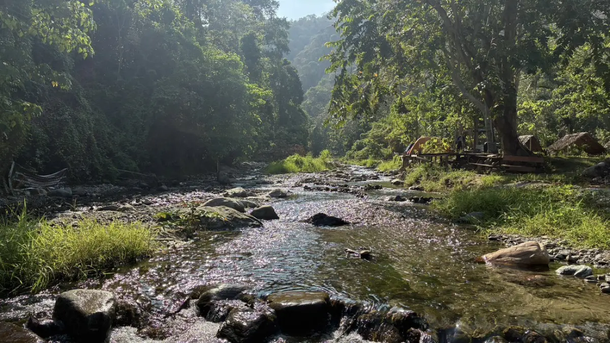 Camp Paneki Tepi Teduh di Desa Pombewe, Kecamatan Sigi Biromaru, Kabupaten Sigi. FOTO: Annisa Nurul Wibdy.