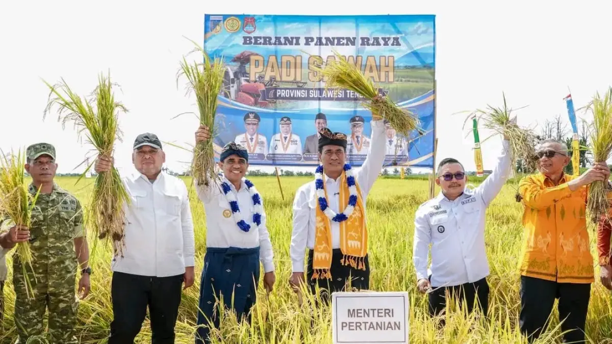 PANEN: Menteri Amran bersama Gubernur Sulteng Dr. H. Anwar Hafid, dan Bupati Banggai H. Amirudin Tamoreka, melakukan panen raya padi di Desa Tirta Sari.(FOTO: NENDRA PRASETYA/RADAR PALU)