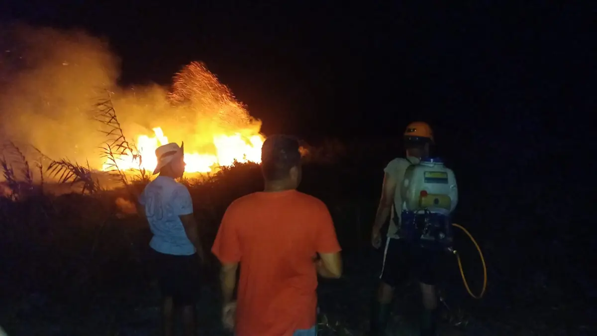 GAMBUT: Kebakaran lahan gambut di Pamona Selatan, Kabupaten Poso.(FOTO: BUDIYANTO WIHARTO/RADAR PALU).