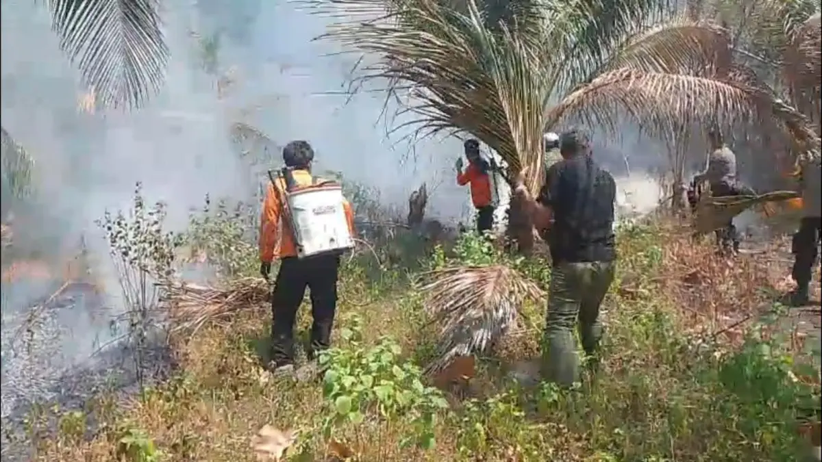 KEBAKARAN: BPBD Kabupaten Banggai masih menghadapi sejumlah kendala dalam penanganan kebakaran hutan dan lahan (karhutla) yang terjadi di sejumlah wilayah.(FOTO: NENDRA PRASETYA/RADAR PALU).