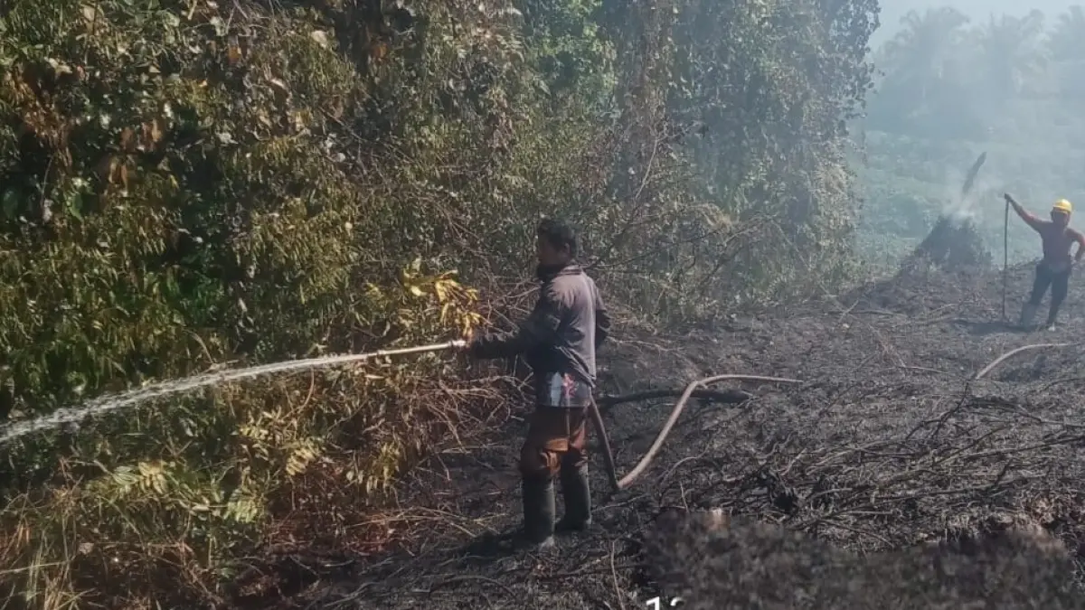 Kebakaran hutan dan lahan di area eksternal Desa Matialemba, Kecamatan Pamona Timur, Kabupaten Poso, Sulawesi Tengah, pada Minggu (13/9/2026).