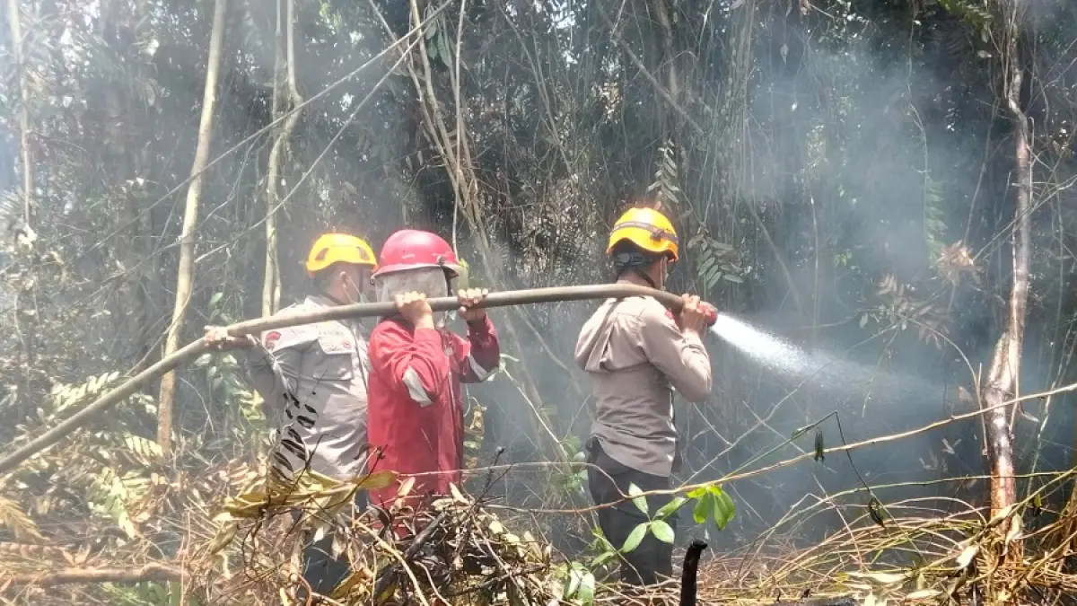 PADAMKAN API: Petugas Damkar, kepolisian bersama warga berjibaku memadamkan Karhutla di Kabupaten Poso. (Istimewa)