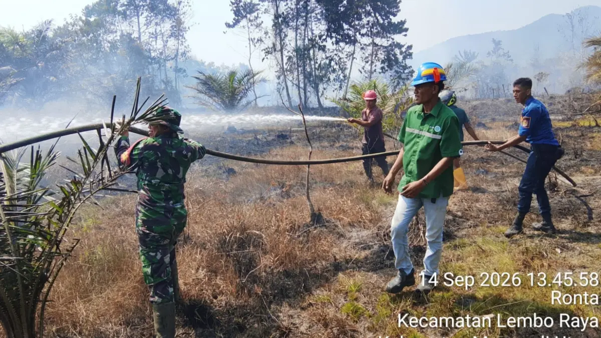 PT CAN) mengerahkan unit pemadam kebakaran dan personelnya untuk membantu penanganan kebakaran lahan di Desa Ronta, Kabupaten Morowali Utara, Sulawesi Tengah, Minggu (14/9/2026).