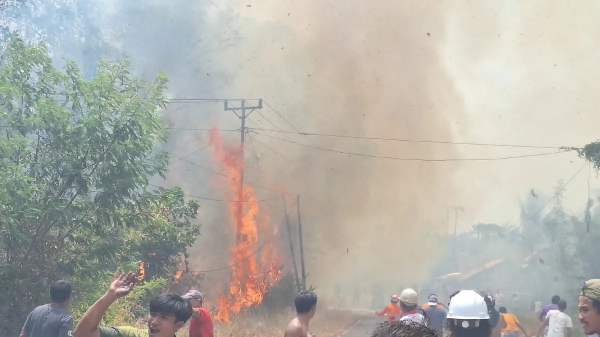 Warga panik saat kebakaran hutan dan lahan meluas hingga mendekati permukiman di Desa Tampemadoro, Kecamatan Lage, Kabupaten Poso.