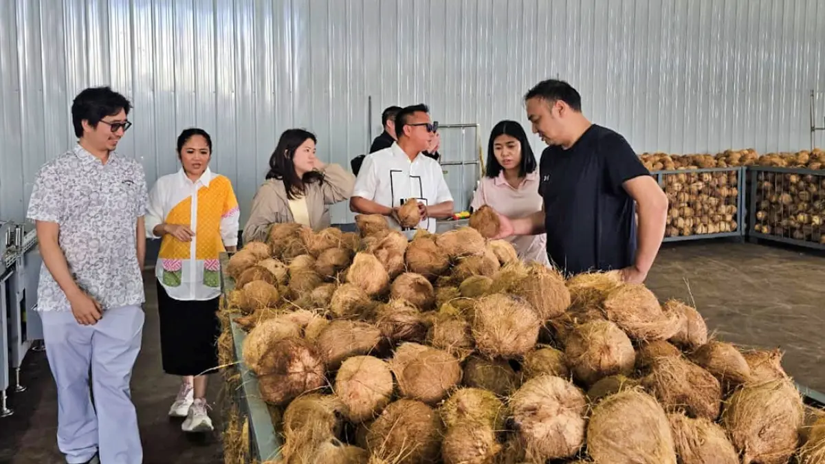 INDUSTRI: Bupati Morut Delis Julkarson Hehi bersama Senator DPD RI Febriyanthi Hongkiriwang mengunjungi pabrik pengolah kelapa PT Freenow Food Industry di kawasan Indonesia Huabao Industrial Park (IHIP) Morowali, Senin (28/9/2026). (FOTO: ISTIMEWA/RADAR PALU)