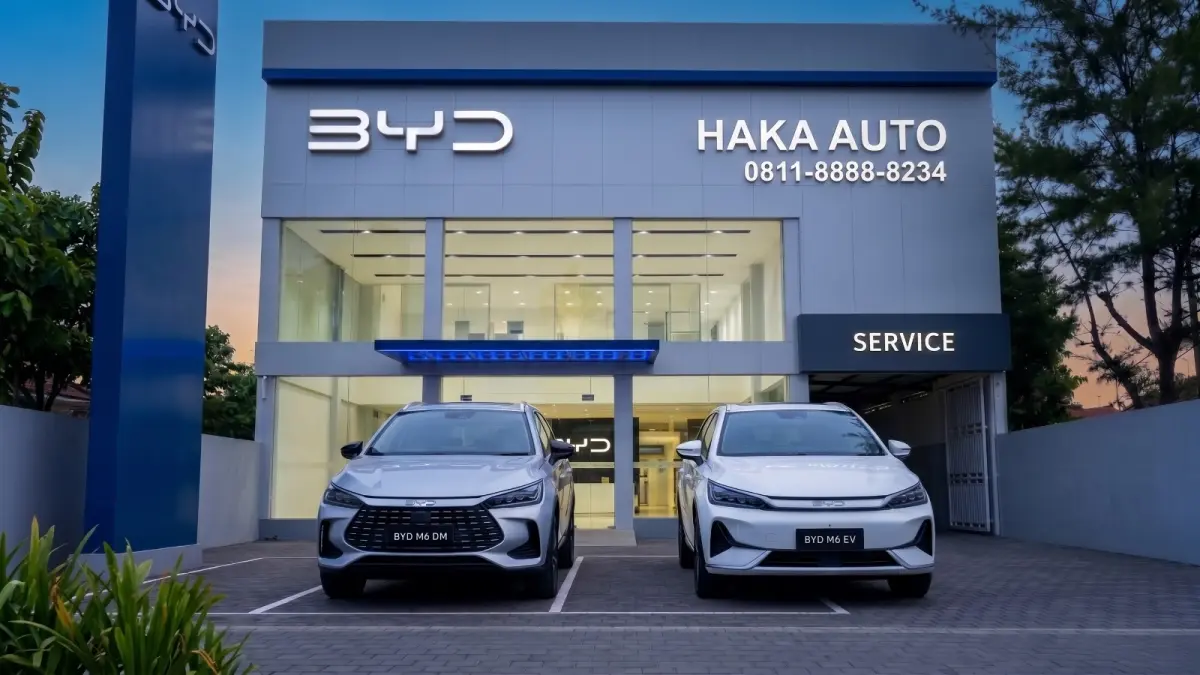 Ilustrasi BYD Haka.