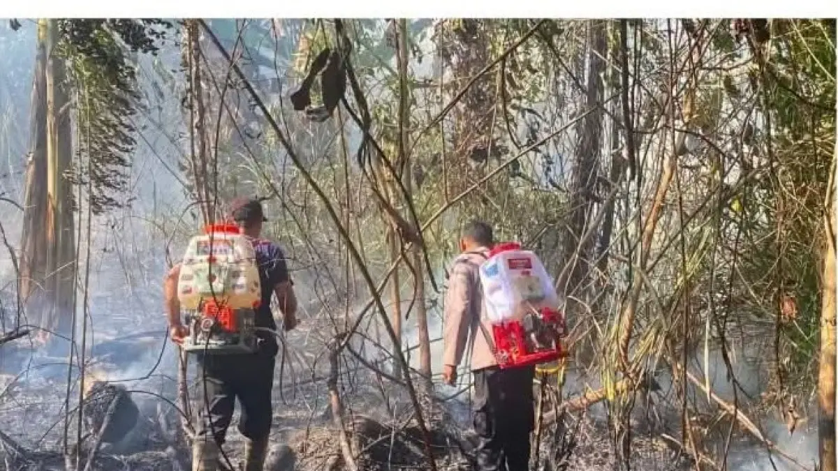 TERBAKAR : Kondisi lahan di Desa Pani’i Kecamatan Dampelas yang terbakar.(FOTO: ISTIMEWA/RADAR PALU)