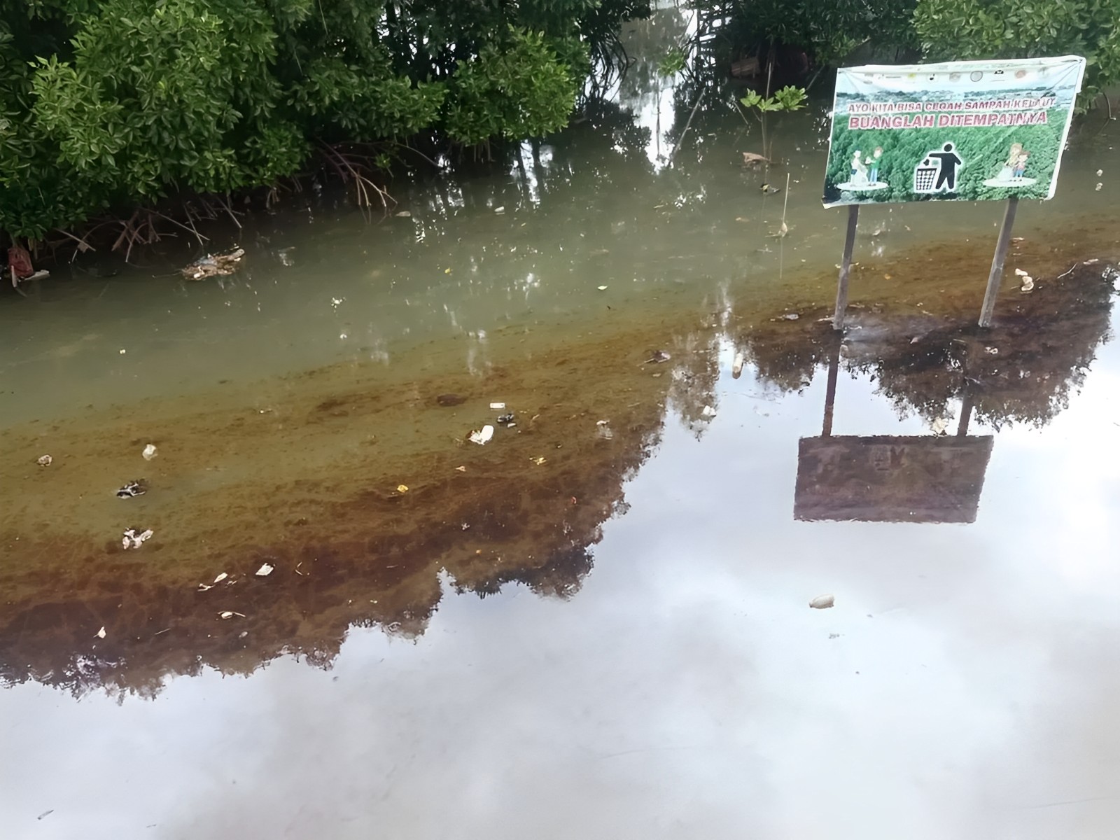 Pada Jumat lalu, cairan limbah yang menyebar juga berdampak buruk pada pohon mangrove di kawasan pemukiman atas air Margasari