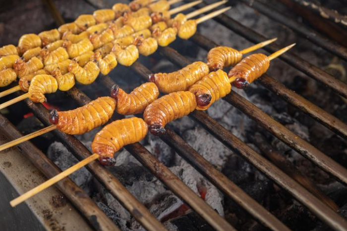 Sate ulat sagu khas Papua Barat Daya, kuliner ekstrem penuh nutrisi dan kaya nilai budaya lokal.