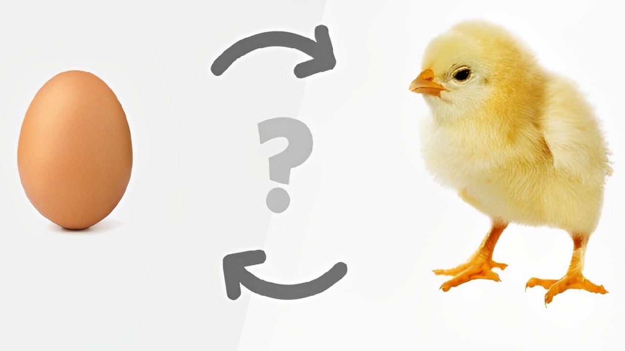 Gambar ayam dan telur sebagai simbol dari pertanyaan klasik yang tak pernah ada habisnya. Penasaran mana duluan, ayam atau telur?