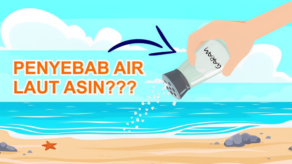 Air laut yang asin ternyata punya banyak peran penting di bumi. Temukan jawabannya di artikel ini! Kenapa air laut rasanya asin? Simak jawabannya hanya di BalikpapanTv.id.
