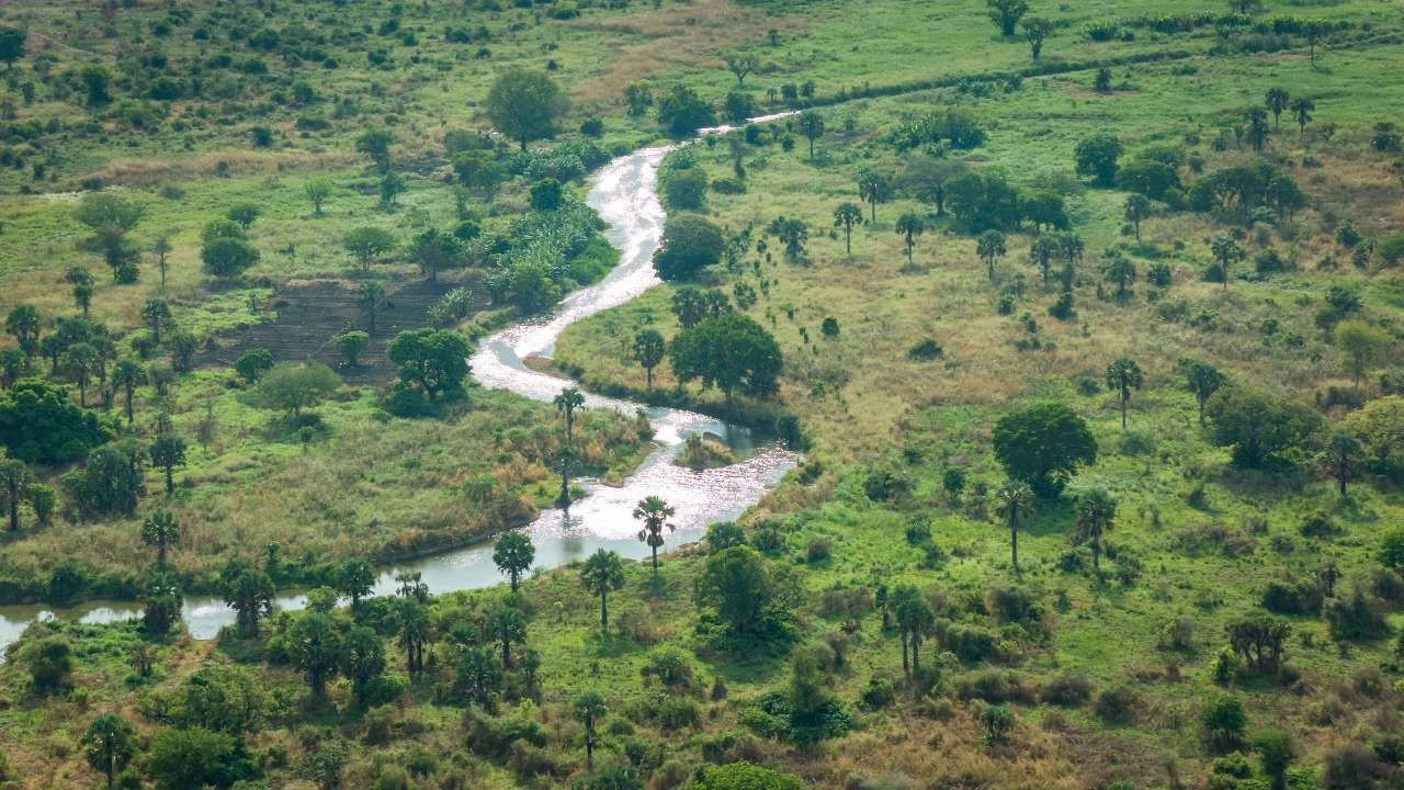 Foto hamparan Sungai Amazon dari udara dengan kabut tipis di atasnya, gambaran nyata keindahan sungai terpanjang dan terbesar di dunia, hook banget buat yang penasaran soal keyword sungai terbesar dun