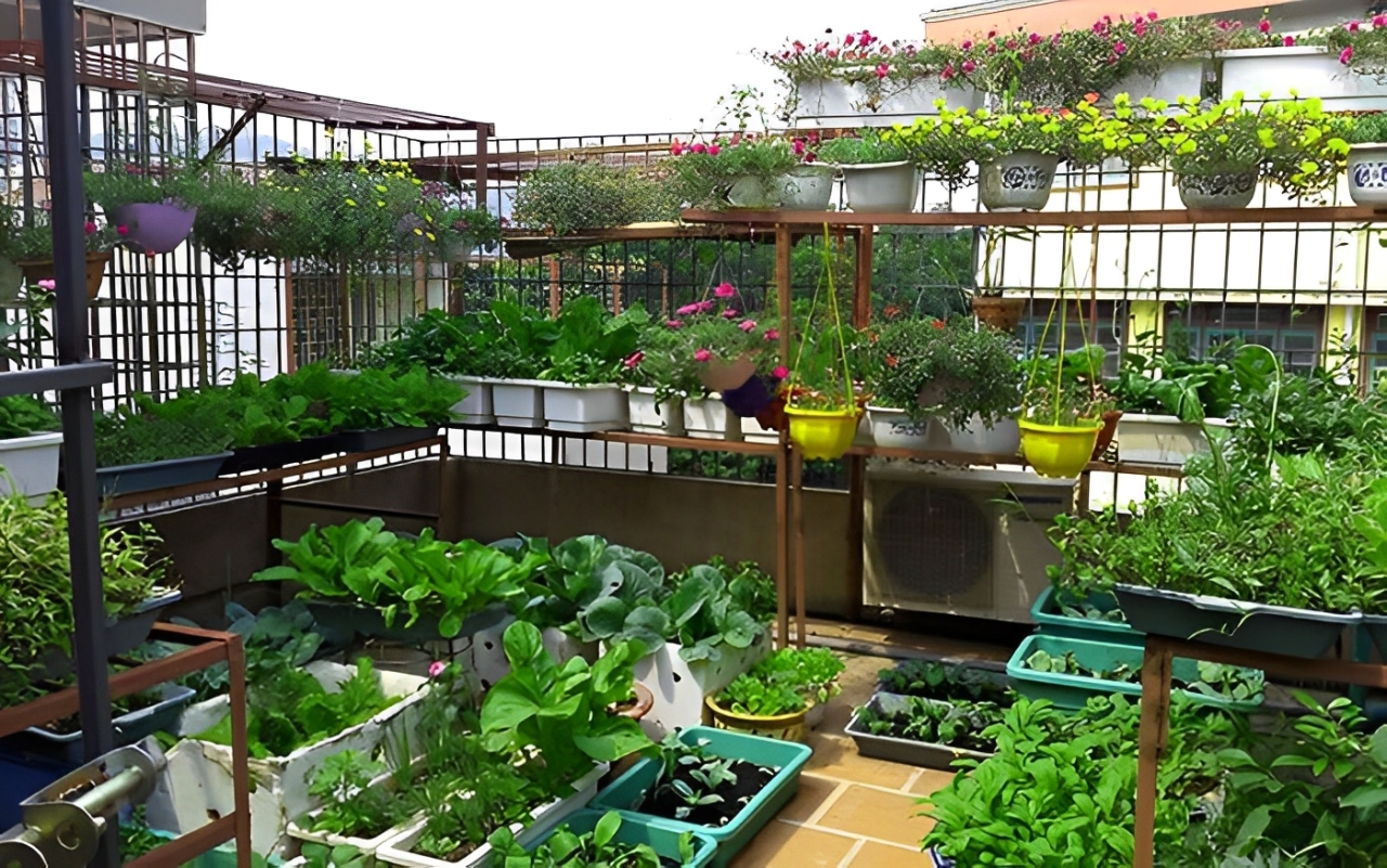 Smart hydroponic system, solusi berkebun di teras rumah buat orang sibuk tanpa ribet dan anti gagal panen. Simak triknya Cess!